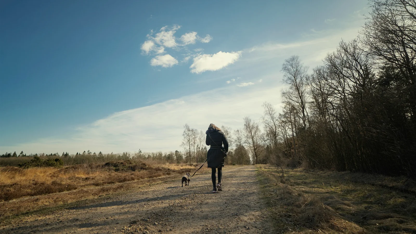How to Find Purpose in Your Career And Why It Matters More Than Money